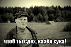 JPG Image, 82KB, 640px × 422px