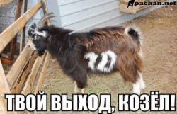 JPG Image, 135KB, 640px × 414px