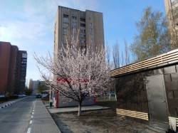 JPG Image, 4153KB, 4160px × 3120px