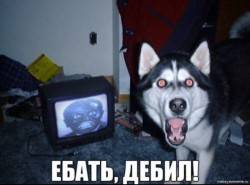 JPG Image, 81KB, 640px × 474px