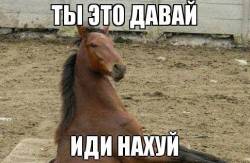 JPG Image, 62KB, 484px × 316px