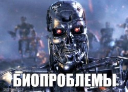 JPG Image, 78KB, 640px × 461px