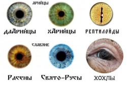JPG Image, 53KB, 590px × 400px