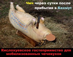 JPG Image, 301KB, 1024px × 810px