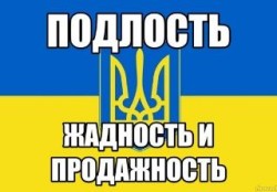 JPG Image, 20KB, 320px × 223px
