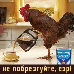 JPG Image, 59KB, 400px × 400px