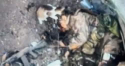 JPG Image, 18KB, 333px × 176px