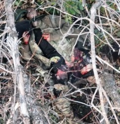 JPG Image, 233KB, 934px × 962px