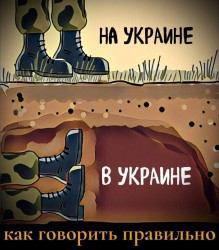 JPG Image, 244KB, 1125px × 1280px
