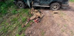 JPG Image, 308KB, 1280px × 634px
