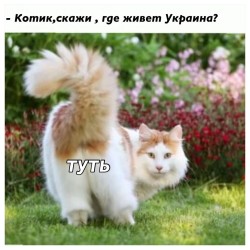 JPG Image, 167KB, 1024px × 1024px