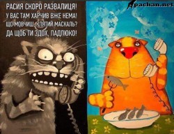JPG Image, 71KB, 522px × 402px