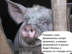 JPG Image, 78KB, 604px × 455px