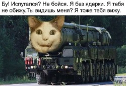 JPG Image, 101KB, 780px × 535px