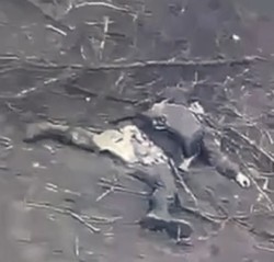 JPG Image, 34KB, 421px × 403px