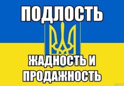 JPG Image, 39KB, 536px × 374px