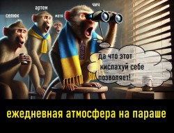 JPG Image, 418KB, 1440px × 1104px