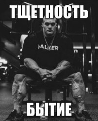 JPG Image, 22KB, 259px × 320px