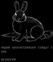 JPG Image, 66KB, 531px × 618px
