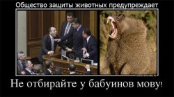 JPG Image, 75KB, 740px × 416px