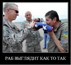 JPG Image, 19KB, 235px × 215px