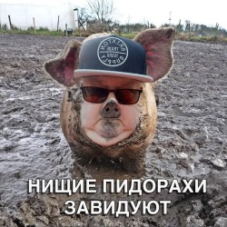 JPG Image, 222KB, 780px × 780px