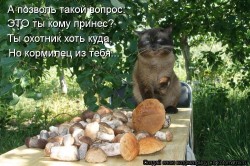 JPG Image, 136KB, 750px × 499px