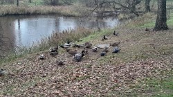 JPG Image, 366KB, 1280px × 720px