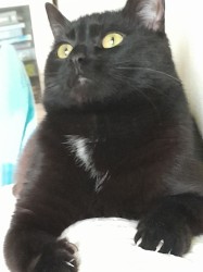 JPG Image, 144KB, 960px × 1280px