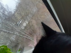 JPG Image, 643KB, 2000px × 1500px