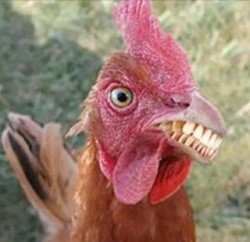 JPG Image, 23KB, 320px × 310px