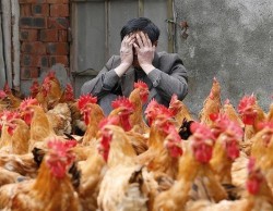 JPG Image, 80KB, 598px × 465px