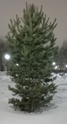 JPG Image, 268KB, 1020px × 1882px