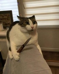 JPG Image, 69KB, 640px × 800px