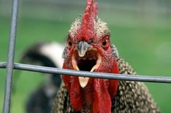 JPG Image, 45KB, 604px × 400px