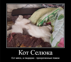 PNG Image, 645KB, 759px × 659px