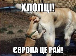 JPG Image, 69KB, 600px × 443px