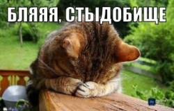 JPG Image, 26KB, 320px × 206px