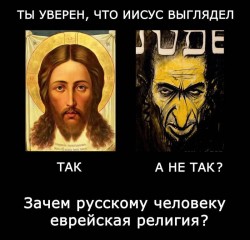 JPG Image, 104KB, 800px × 769px