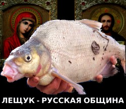 JPG Image, 139KB, 755px × 660px